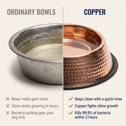 Kivaro Copper Pet Bowl