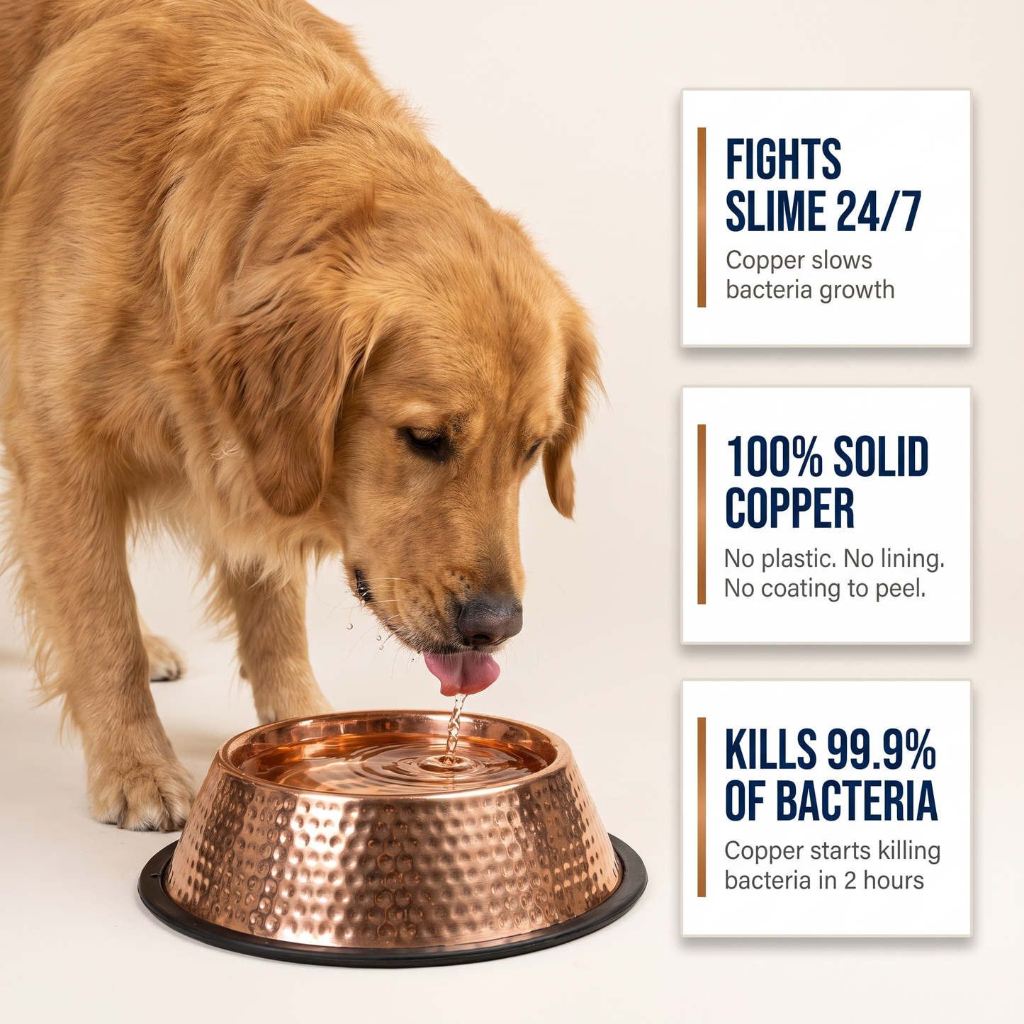 Kivaro Copper Pet Bowl