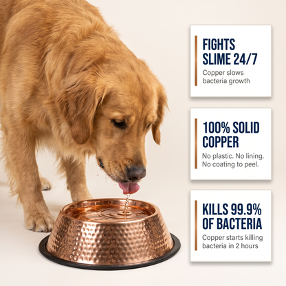 Kivaro Copper Pet Bowl