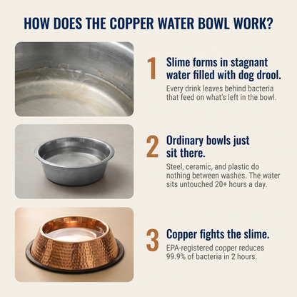 Kivaro Copper Pet Bowl